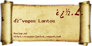 Üveges Lantos névjegykártya